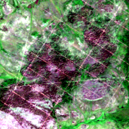 Later satellite view at 61.7673° N, 108.2301° E, the scene the model called yes.