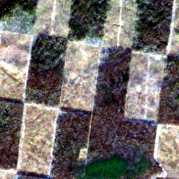 Later satellite view at 57.8563° N, 86.4600° E, the scene the model called yes.