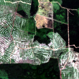 Later satellite view at 19.7182° N, 90.1386° W, the scene the model called yes.