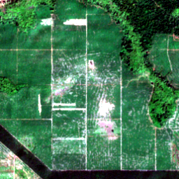 Later satellite view at 12.0421° N, 106.6545° E, the scene the model called yes.