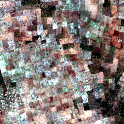 Later satellite view at 8.4289° N, 18.3788° E, the scene the model called yes.
