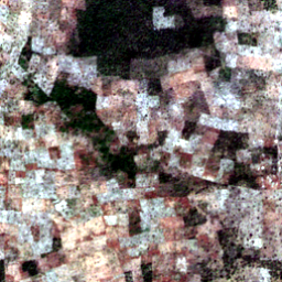 Later satellite view at 8.3184° N, 18.2854° E, the scene the model called yes.