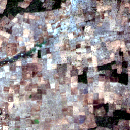 Later satellite view at 8.2281° N, 17.9815° E, the scene the model called yes.
