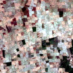 Later satellite view at 8.1403° N, 17.3902° E, the scene the model called yes.