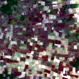 Later satellite view at 8.0275° N, 17.2031° E, the scene the model called yes.