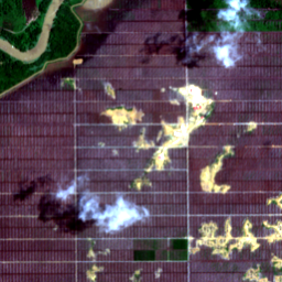 Later satellite view at 3.9104° N, 114.2933° E, the scene the model called yes.