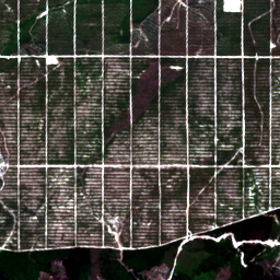 Later satellite view at 2.2872° N, 117.8411° E, the scene the model called yes.