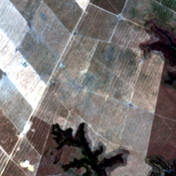 Later satellite view at 8.7840° S, 44.0077° W, the scene the model called yes.