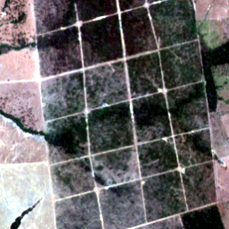 Later satellite view at 10.1770° S, 64.7323° W, the scene the model called yes.