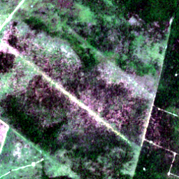 Later satellite view at 10.3919° S, 53.7055° W, the scene the model called yes.