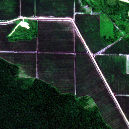 Later satellite view at 0.6669° S, 110.0505° E, the scene the model called yes.