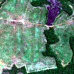 Later satellite view at 10.8354° S, 57.5505° W, the scene the model called yes.
