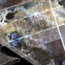 Later satellite view at 11.4259° S, 44.7456° W, the scene the model called yes.