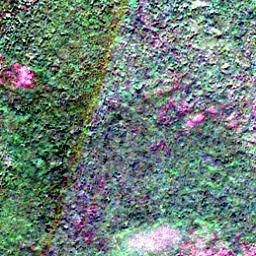 Satellite view on 2020-07-18, a 2.56 km square at 57.8563° N, 86.4600° E.