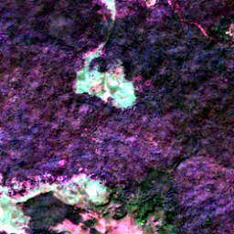 Satellite view on 2020-12-10, a 2.56 km square at 19.7182° N, 90.1386° W.