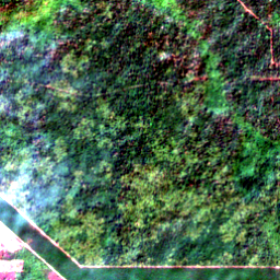 Satellite view on 2020-01-21, a 2.56 km square at 12.0421° N, 106.6545° E.
