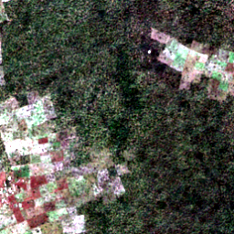 Satellite view on 2020-11-18, a 2.56 km square at 8.4289° N, 18.3788° E.