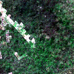 Satellite view on 2020-11-13, a 2.56 km square at 8.3184° N, 18.2854° E.