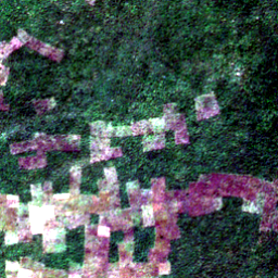 Satellite view on 2020-11-13, a 2.56 km square at 8.2281° N, 17.9815° E.