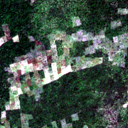 Satellite view on 2020-11-11, a 2.56 km square at 8.1403° N, 17.3902° E.