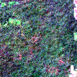 Satellite view on 2020-11-11, a 2.56 km square at 8.0275° N, 17.2031° E.