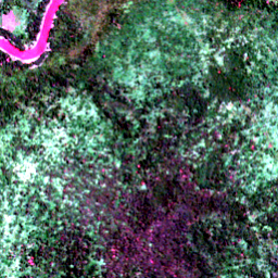 Satellite view on 2020-08-11, a 2.56 km square at 3.9104° N, 114.2933° E.
