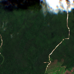 Satellite view on 2020-11-13, a 2.56 km square at 2.2872° N, 117.8411° E.
