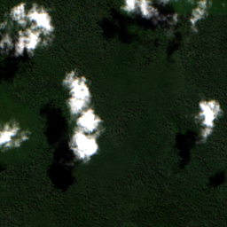 Satellite view on 2020-10-30, a 2.56 km square at 0.8756° N, 112.8191° E.