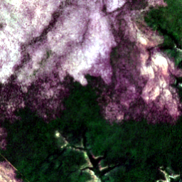 Satellite view on 2020-12-30, a 2.56 km square at 8.7840° S, 44.0077° W.