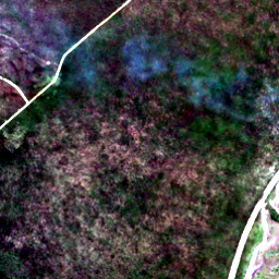 Satellite view on 2020-07-26, a 2.56 km square at 9.3858° S, 48.4135° W.