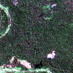 Satellite view on 2020-04-20, a 2.56 km square at 8.0704° S, 74.8703° W.