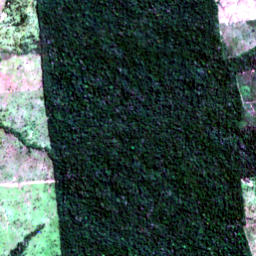 Satellite view on 2020-07-27, a 2.56 km square at 10.1770° S, 64.7323° W.