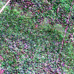 Satellite view on 2020-07-12, a 2.56 km square at 10.3919° S, 53.7055° W.