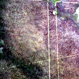 Satellite view on 2020-07-05, a 2.56 km square at 10.6262° S, 42.3106° W.