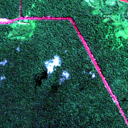 Satellite view on 2020-09-18, a 2.56 km square at 0.6669° S, 110.0505° E.