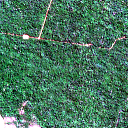 Satellite view on 2020-07-28, a 2.56 km square at 10.8354° S, 57.5505° W.
